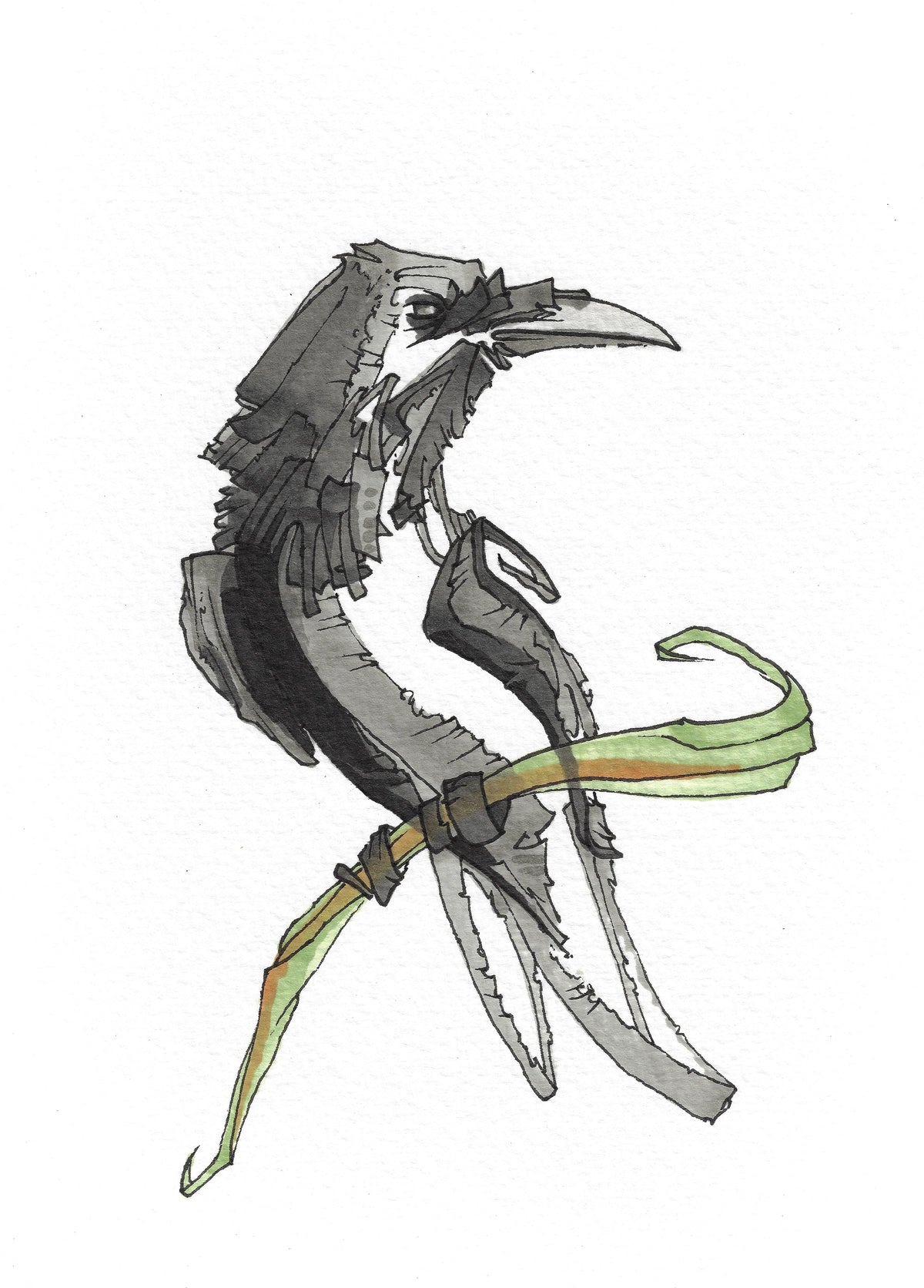 Raven 1 (3001)
