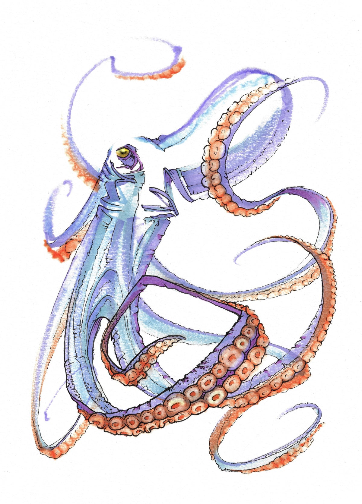Octo 2 (3004)