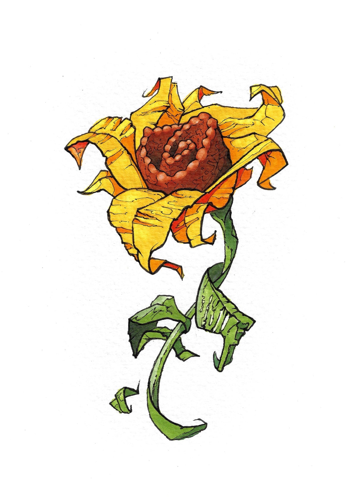 Sunflower 1 (3005)