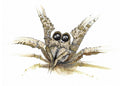 Spider (3102)