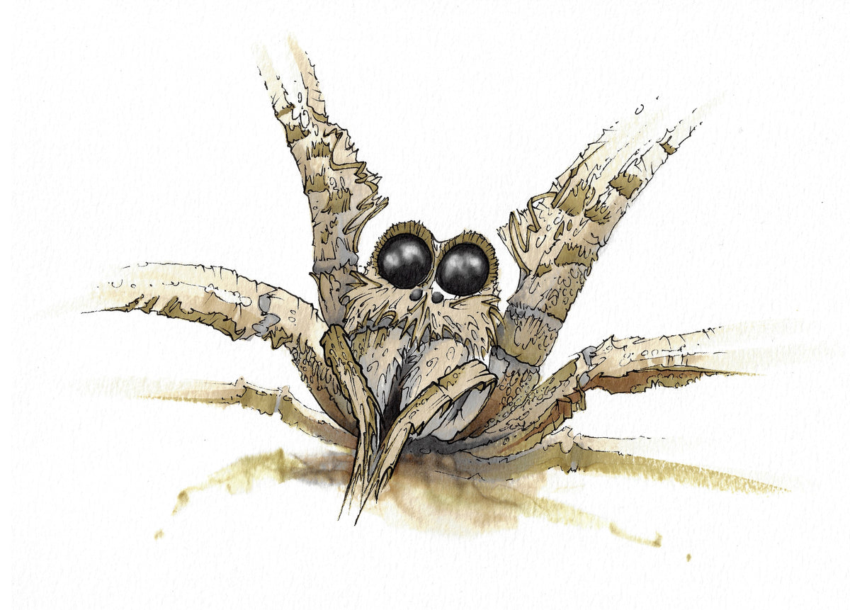 Spider (3102)